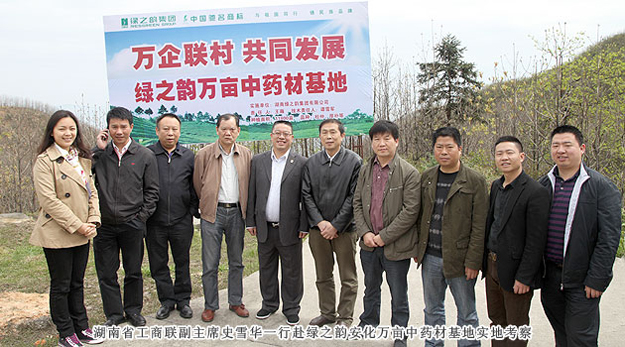 湖南省工商聯(lián)副主席史雪華一行赴綠之韻安化萬(wàn)畝中藥材基地實(shí)地考察