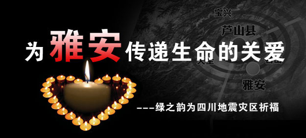 為雅安祈?！G之韻用愛心行動守護雅安人民
