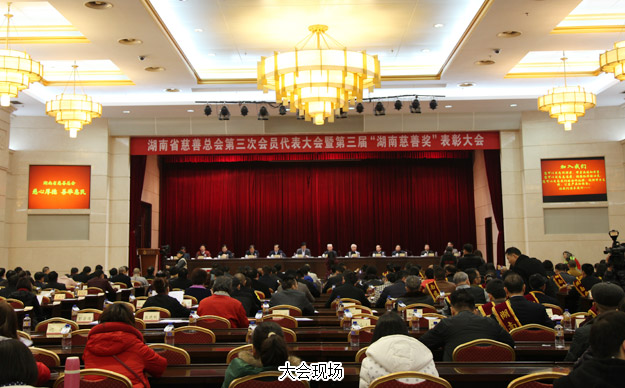 胡國安董事長當選湖南省慈善總會副會長，綠之韻集團榮膺“湖南省慈善獎”殊榮