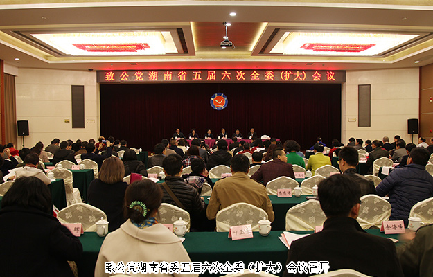 湖南省政協(xié)委員胡國安應邀出席致公黨湖南省委五屆六次全委（擴大）會議
