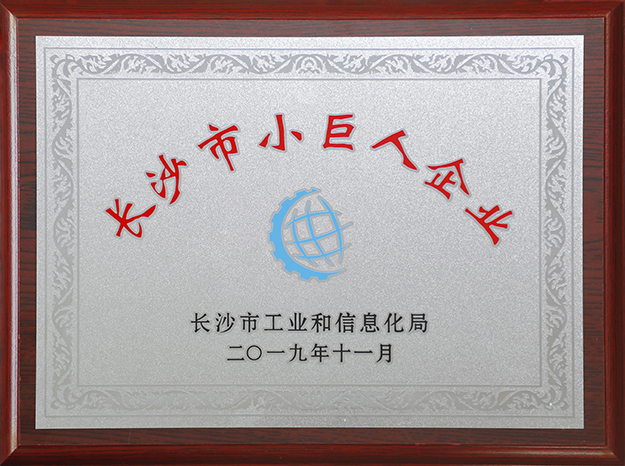 喜訊｜綠之韻獲評(píng)“首批長(zhǎng)沙市工業(yè)和信息化類小巨人企業(yè)”