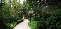 園林綠化養(yǎng)護(hù)的對(duì)策