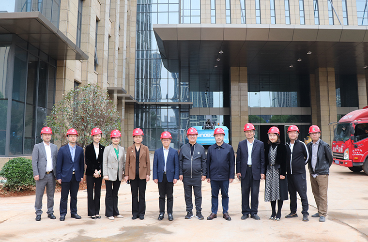 湖南省人大常委會副主任胡旭晟一行蒞臨綠之韻中心走訪調(diào)研