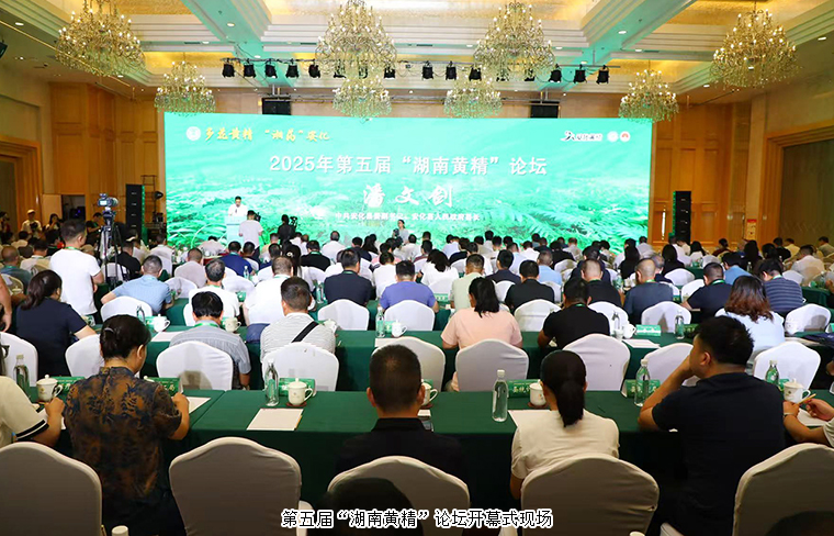 胡國安董事長受邀參加第五屆“湖南黃精”論壇 共探黃精產(chǎn)業(yè)發(fā)展新路徑