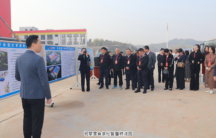 胡國(guó)安代表參加全國(guó)、省、市人大代表兩會(huì)前集中視察活動(dòng)，聚焦產(chǎn)業(yè)發(fā)展與歷史文化保護(hù)